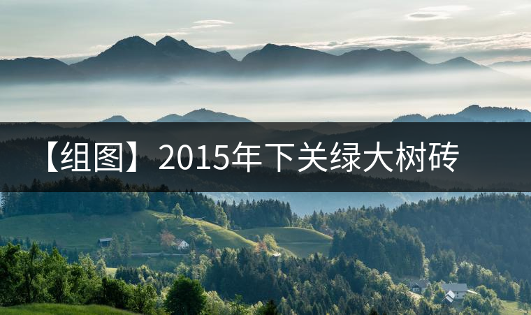 【組圖】2015年下關(guān)綠大樹磚茶開湯 【組圖】2015年下關(guān)綠大樹磚茶開湯