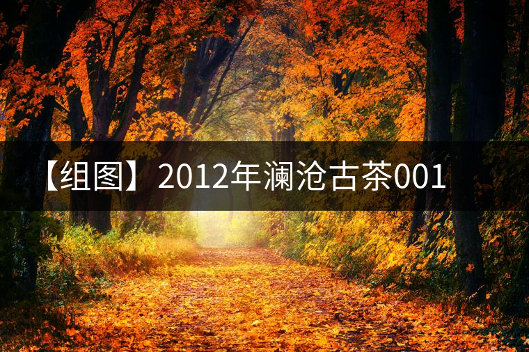 【組圖】2012年瀾滄古茶001開(kāi)湯