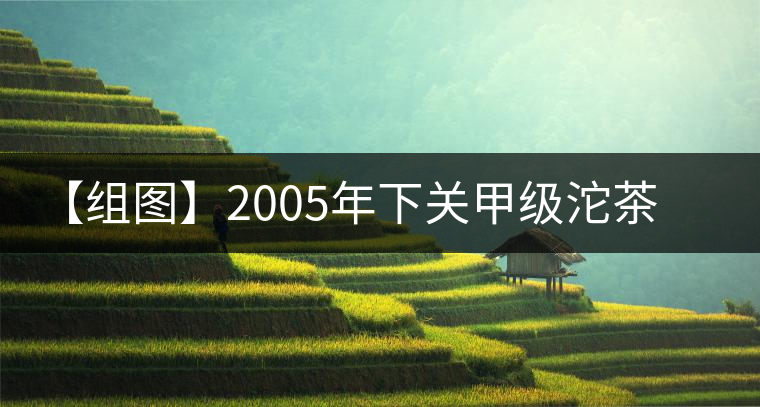 【組圖】2005年下關(guān)甲級(jí)沱茶開湯