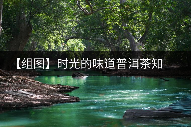 【組圖】時光的味道普洱茶知道 【組圖】時光的味道普洱茶知道