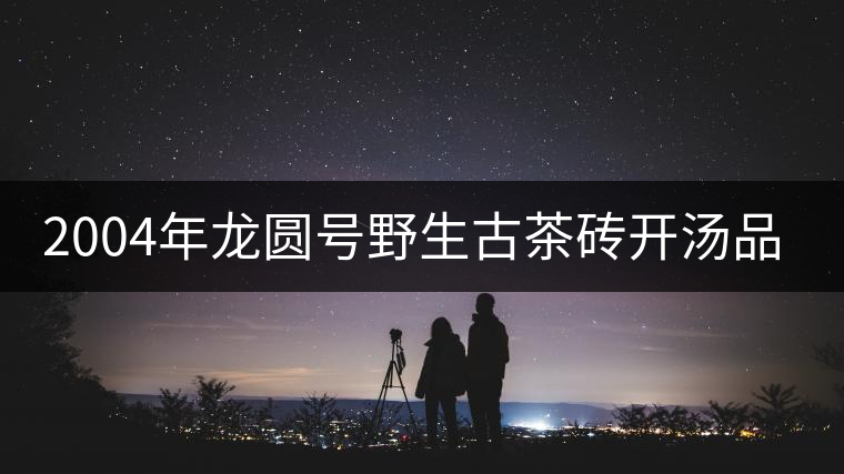 2004年龍圓號(hào)野生古茶磚開湯品鑒 2004年龍圓號(hào)野生古茶磚開湯品鑒