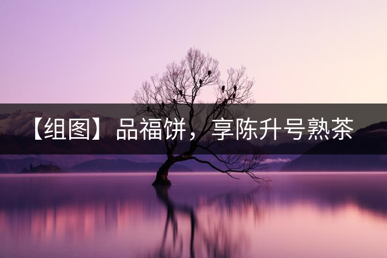 【組圖】品福餅，享陳升號(hào)熟茶滋味