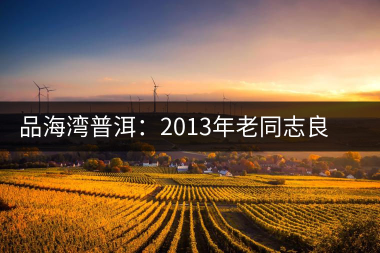 品海灣普洱:2013年老同志良再品普洱茶開湯 品海灣普洱:2013年老同志良再品普洱茶開湯