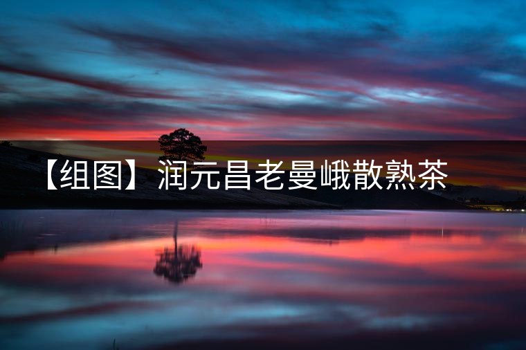 【組圖】潤(rùn)元昌老曼峨散熟茶開(kāi)湯