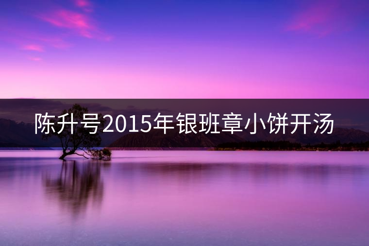 陳升號(hào)2015年銀班章小餅開湯