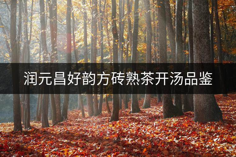 潤元昌好韻方磚熟茶開湯品鑒 潤元昌好韻方磚熟茶開湯品鑒