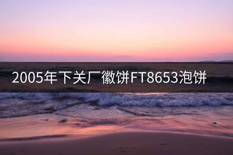 2005年下關(guān)廠徽餅FT8653泡餅開湯 2005年下關(guān)廠徽餅FT8653泡餅開湯
