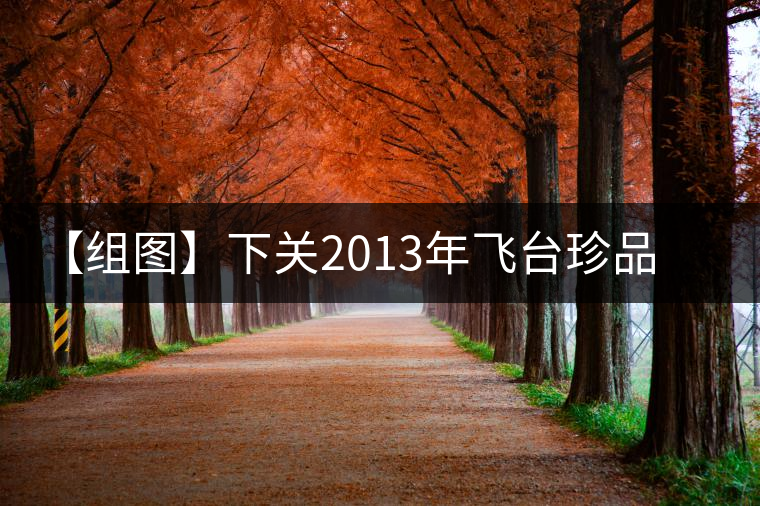 【組圖】下關2013年飛臺珍品紫云號開湯