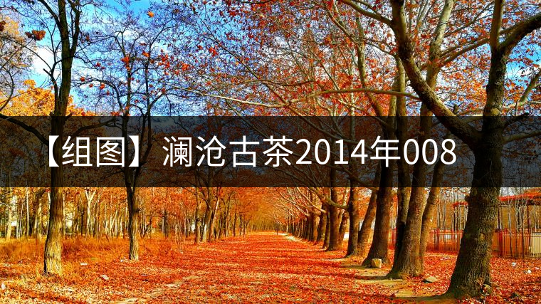 【組圖】瀾滄古茶2014年0085金磚開湯 【組圖】瀾滄古茶2014年0085金磚開湯