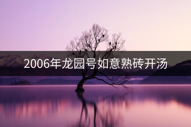 2006年龍園號如意熟磚開湯 2006年龍園號如意熟磚開湯