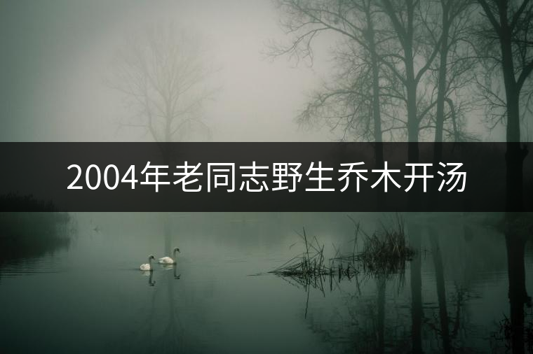 2004年老同志野生喬木開湯 2004年老同志野生喬木開湯