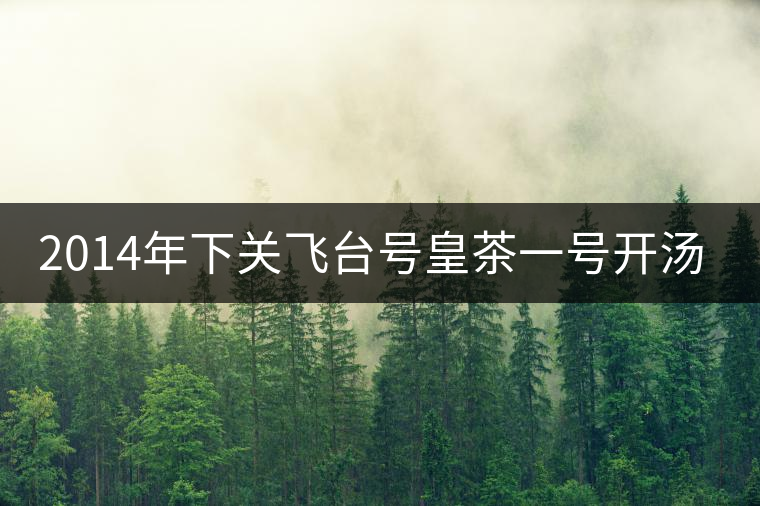 2014年下關飛臺號皇茶一號開湯品鑒 2014年下關飛臺號皇茶一號開湯品鑒