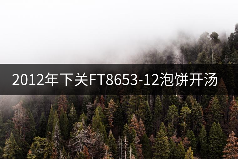 2012年下關(guān)FT8653-12泡餅開湯品鑒