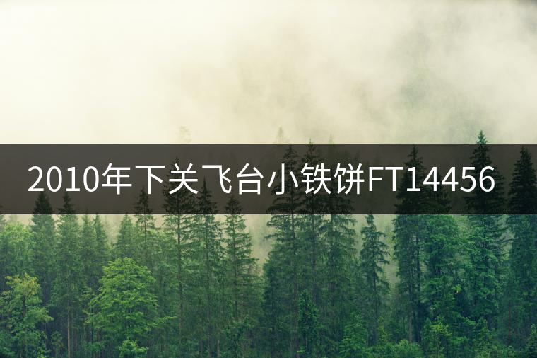 2010年下關(guān)飛臺小鐵餅FT14456開湯 2010年下關(guān)飛臺小鐵餅FT14456開湯