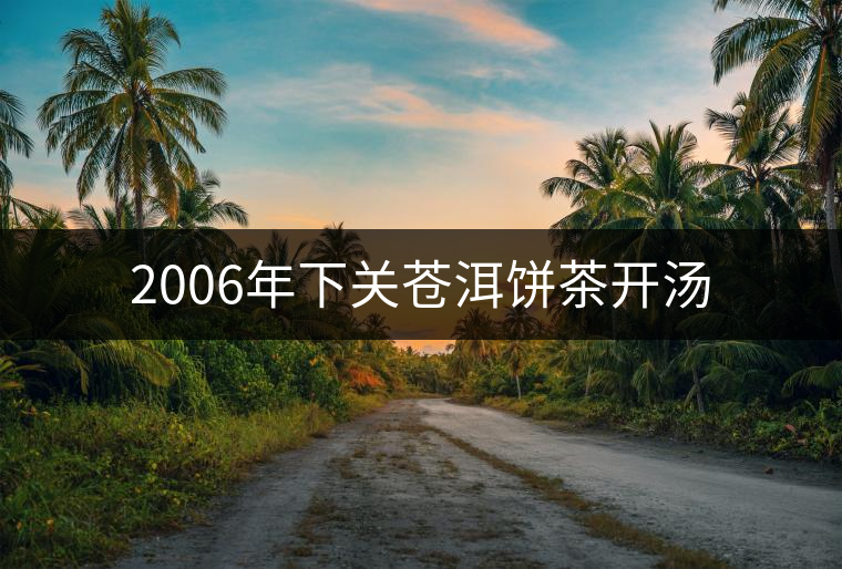 2006年下關蒼洱餅茶開湯