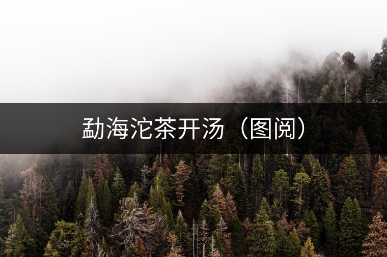 勐海沱茶開(kāi)湯(圖閱) 勐海沱茶開(kāi)湯(圖閱)