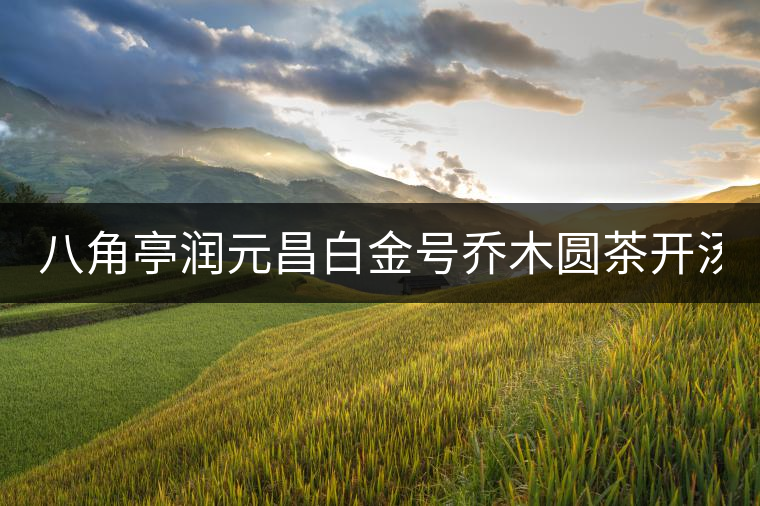 八角亭潤(rùn)元昌白金號(hào)喬木圓茶開湯(圖閱) 八角亭潤(rùn)元昌白金號(hào)喬木圓茶開湯(圖閱)