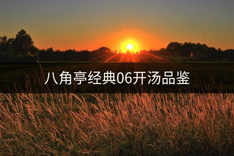 八角亭經(jīng)典06開湯品鑒 八角亭經(jīng)典06開湯品鑒