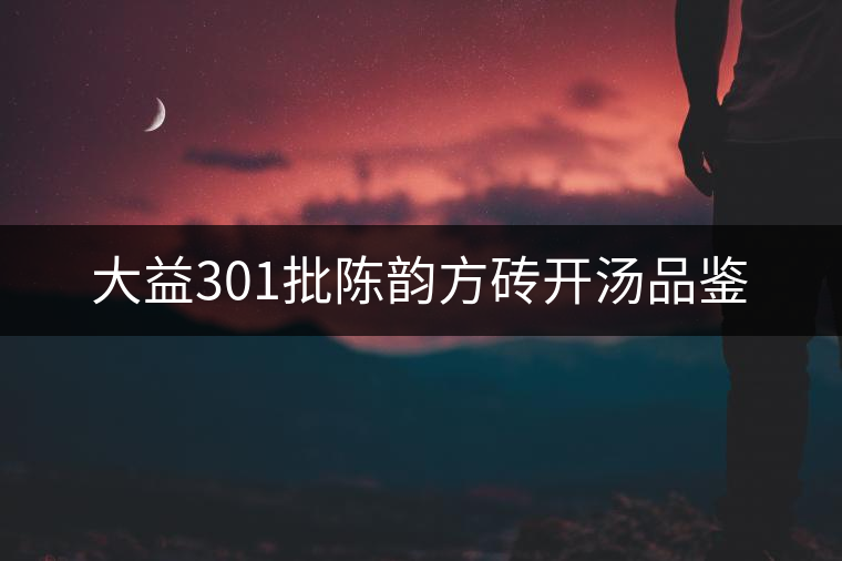 大益301批陳韻方磚開湯品鑒