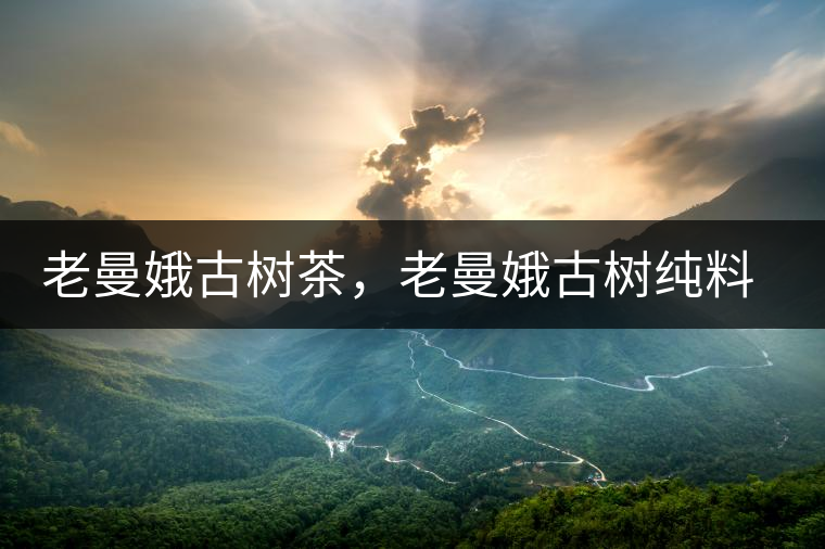 老曼娥古樹茶，老曼娥古樹純料生餅