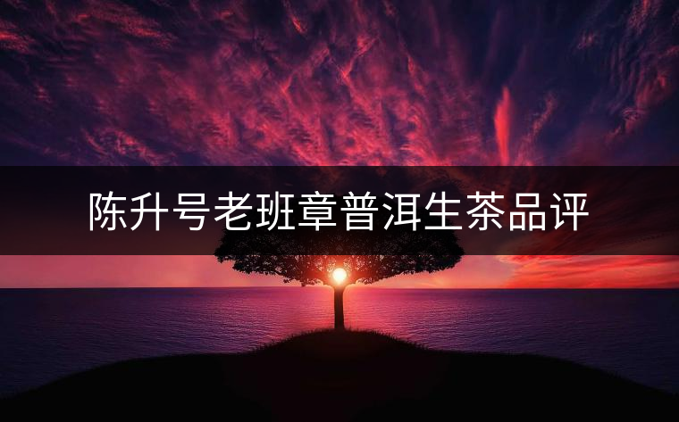 陳升號(hào)老班章普洱生茶品評(píng) 陳升號(hào)老班章普洱生茶品評(píng)