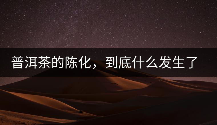 普洱茶的陳化，到底什么發(fā)生了哪些變化？