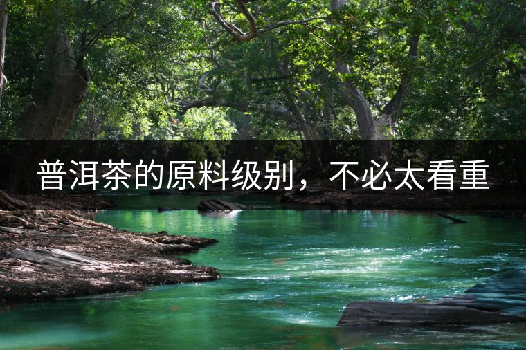 普洱茶的原料級別，不必太看重