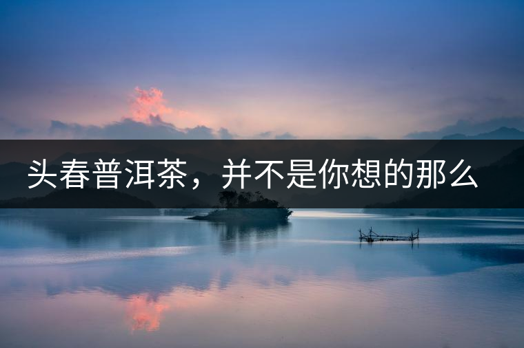 頭春普洱茶，并不是你想的那么好