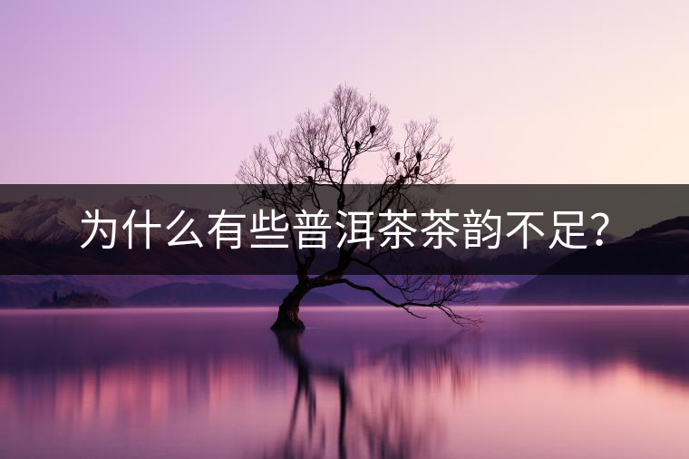 為什么有些普洱茶茶韻不足？