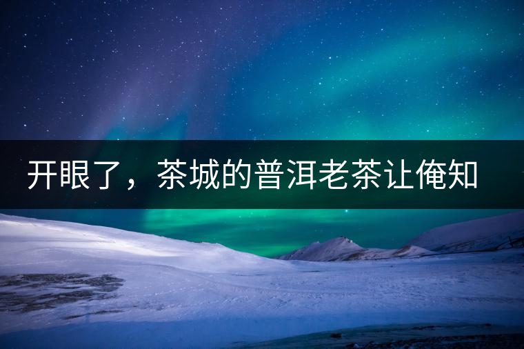 開眼了，茶城的普洱老茶讓俺知道了老茶樹