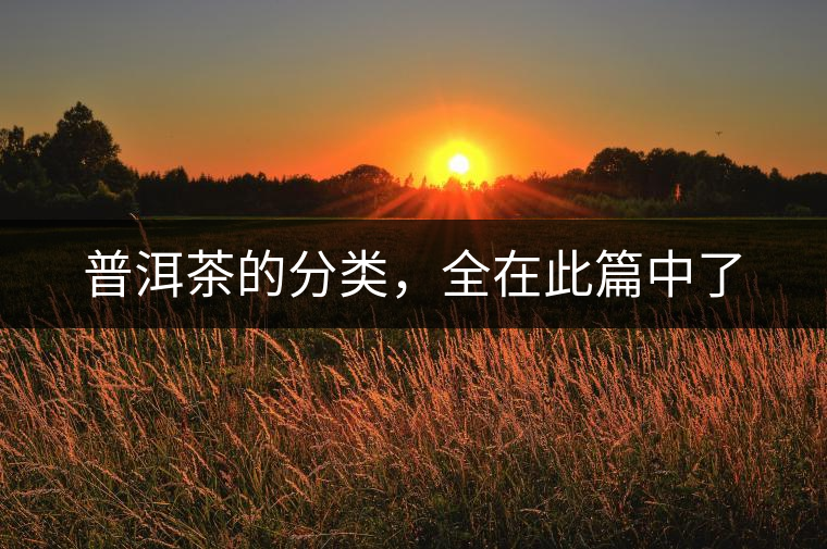 普洱茶的分類，全在此篇中了