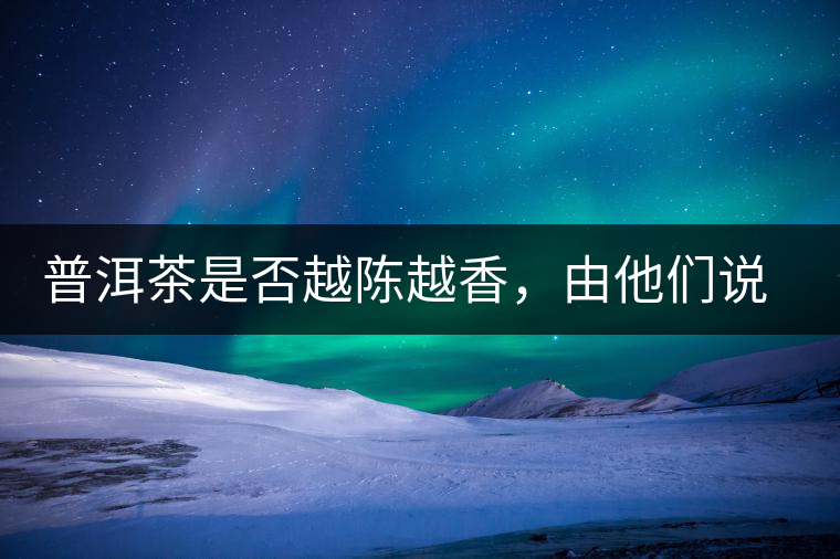 普洱茶是否越陳越香，由他們說了算