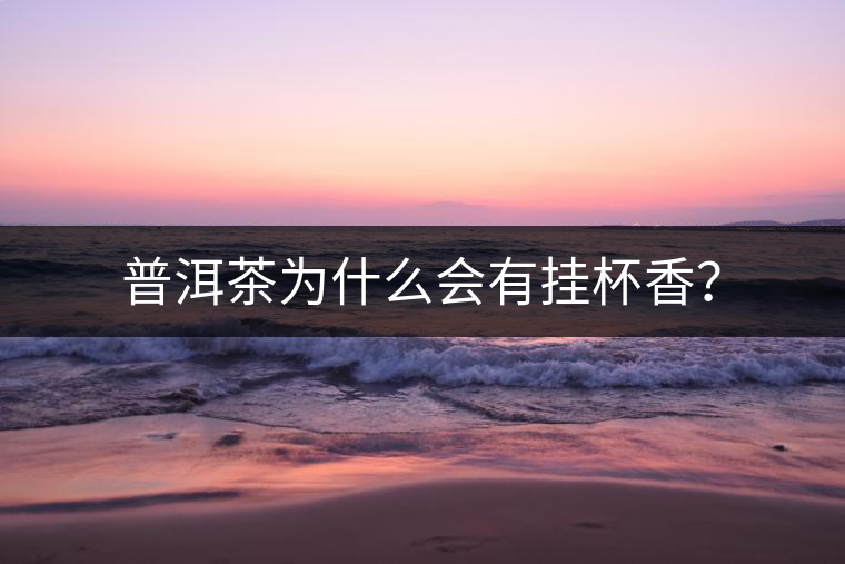 普洱茶為什么會有掛杯香？