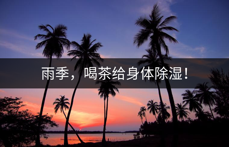 雨季，喝茶給身體除濕！