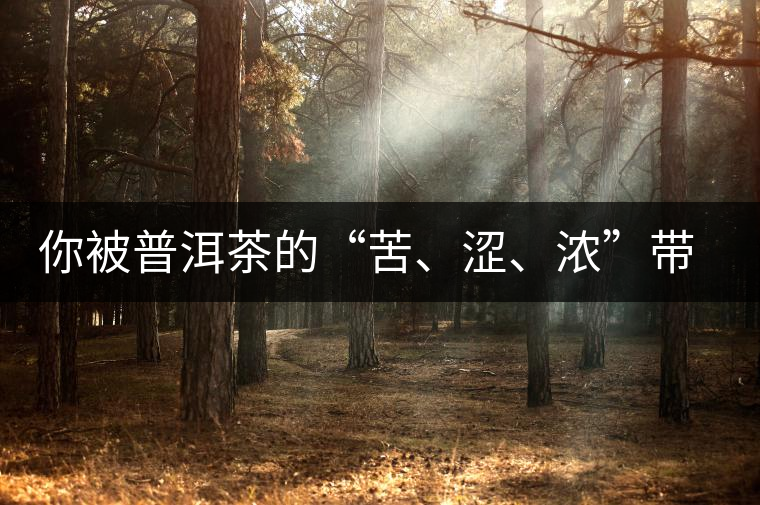 你被普洱茶的“苦、澀、濃”帶入“歧途”了嗎？