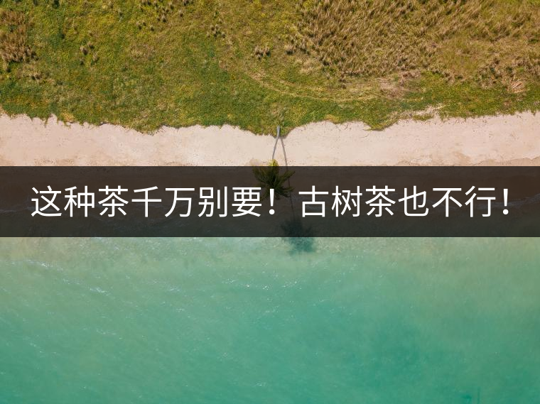 這種茶千萬別要！古樹茶也不行！