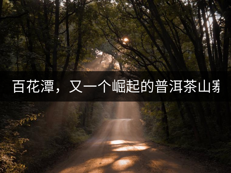 百花潭，又一個(gè)崛起的普洱茶山寨！