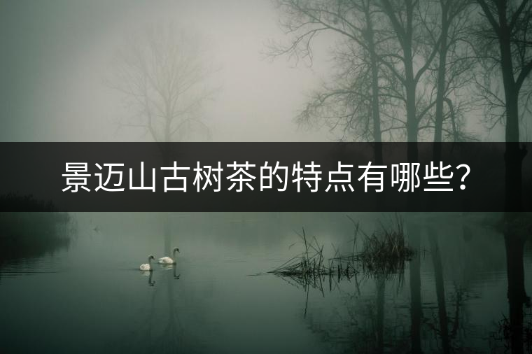 景邁山古樹(shù)茶的特點(diǎn)有哪些？