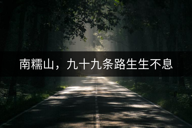南糯山，九十九條路生生不息