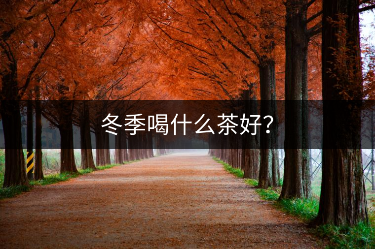 冬季喝什么茶好? 冬季喝什么茶好?