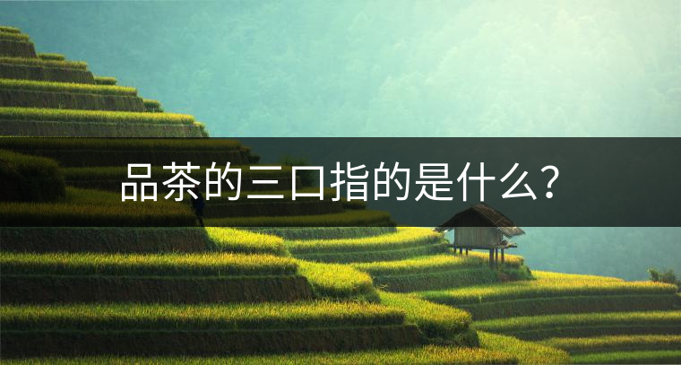 品茶的三口指的是什么？