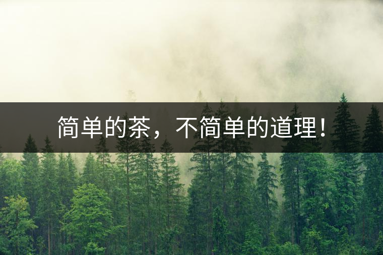 簡單的茶，不簡單的道理！