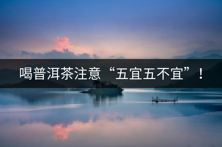 喝普洱茶注意“五宜五不宜”！