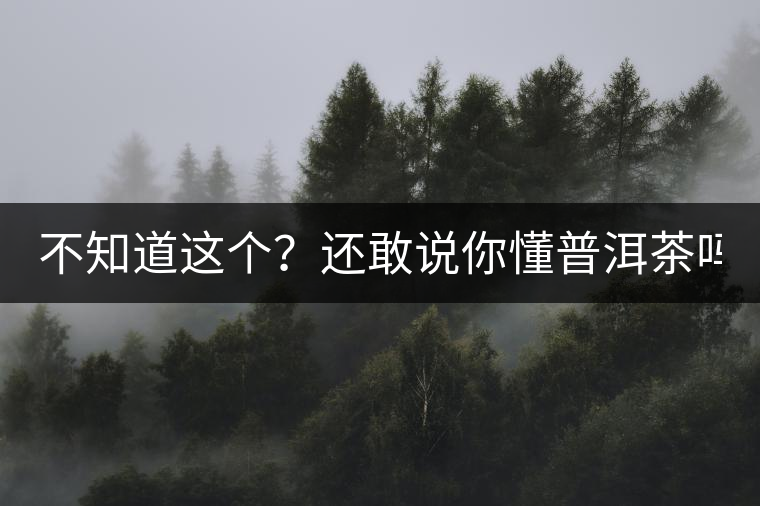 不知道這個？還敢說你懂普洱茶嗎？