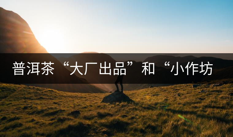 普洱茶“大廠出品”和“小作坊”，哪一個更值得購買？