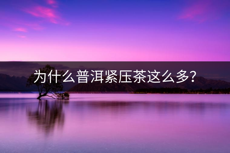 為什么普洱緊壓茶這么多？