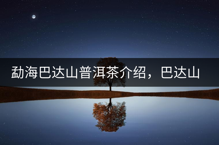 勐海巴達(dá)山普洱茶介紹，巴達(dá)山古樹茶口感特點