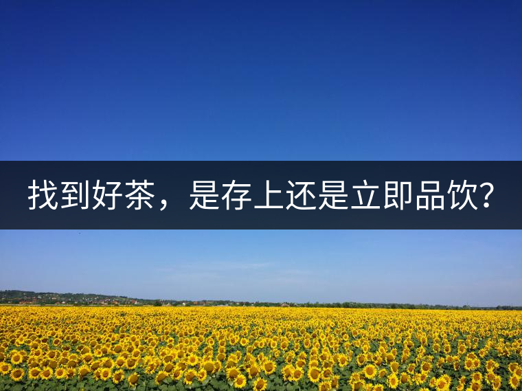 找到好茶，是存上還是立即品飲？