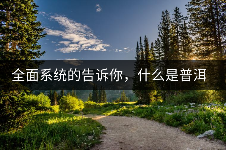 全面系統(tǒng)的告訴你，什么是普洱茶