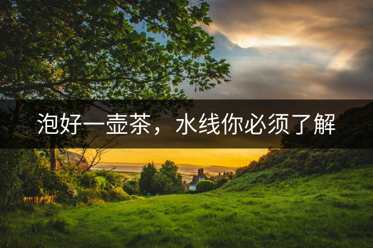 泡好一壺茶，水線你必須了解